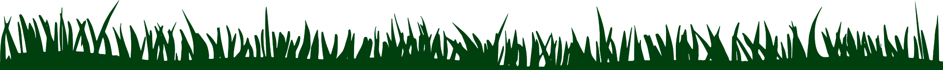 GRASS